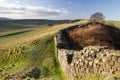 Cawfields, Hadrian`s Wall, Northumberland, Uk