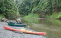 Kayaking Whanganui River Royalty Free Stock Photo