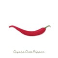 cayenne chili pepper. Vector illustration decorative design