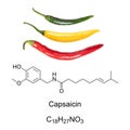 Cayenne chili peppers, and capsaicin chemical formula and structure Royalty Free Stock Photo