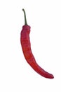 Cayenne pepper Royalty Free Stock Photo