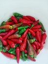 Cayenne pepper red green orange, pink, faded orange, hot cayenne pepper without pesticides