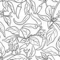 Cayenne pepper seamless pattern