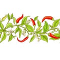 Cayenne pepper vector pattern