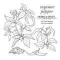 Cayenne pepper set