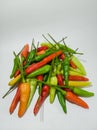 Chilipepper Royalty Free Stock Photo