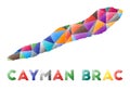 Cayman Brac - colorful low poly island shape.