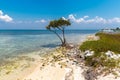 Cayo Blanco, Cuba Royalty Free Stock Photo