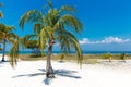 Cayo Blanco, Cuba Royalty Free Stock Photo