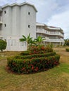 Cayo Coco, Cuba, 16 may 2021: Beautiful green shrub with red flowers is planted around the buildings of the hotel