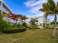 Cayo Coco, Cuba, 16 may 2021: Beautiful green shrub with red flowers is planted around the buildings of the hotel