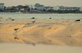 Cayo Coco Resorts Beyond The Exposed Low Tide Sandbar Royalty Free Stock Photo