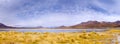 CaÃÂ±apa Lake in Bolivia Panorama