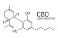 CBD or cannabidiol molecule structure