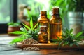 CBD oil and hemp on table. Cannabis oil Royalty Free Stock Photo