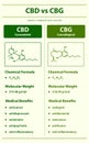 CBD vs CBG, Cannabidiol vs Cannabigerol vertical infographic