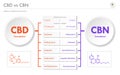 CBD vs CBN, Cannabidiol vs Cannabinol horizontal business infographic