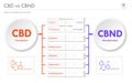 CBD vs CBND, Cannabidiol vs Cannabinodiol horizontal business infographic