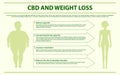 CBD and Weight Loss horizontal infographic