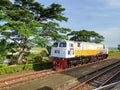 CC206 Locomotive at a Station on the Edge of Rice Fields with Large Trees Beside the Tracks Royalty Free Stock Photo