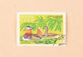A stamp printed in the CCCP shows a mandarin duck, circa 1970
