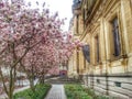 the cci building in The spring, Lyon old town, France