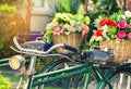 Cclose up vintage bicycle with bouquet flowers in basket Royalty Free Stock Photo