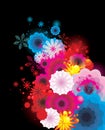 Ccolor flowers illustration Royalty Free Stock Photo