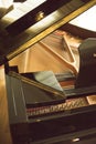 Cconert grand piano strings Royalty Free Stock Photo