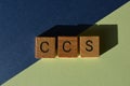 CCS, acronym, carbon capture storage