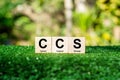 CCS stands for Carbon Capture and Storage. It is a technology used to reduce the amount of carbon dioxide Royalty Free Stock Photo