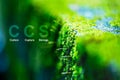 CCS stands for Carbon Capture and Storage. It is a technology used to reduce the amount of carbon dioxide CO2 released into the Royalty Free Stock Photo