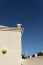 CCTV cameras and high voltage fencing on a building in Worcester, South Africa