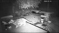 CCTV of Domestic Cat getting Sprayed in Face with Water after Raiding a Hedgehog Feeding Station