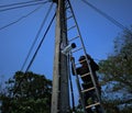 A CCTV installer climbed a wooden ladder up a concrete lamp post. Bright sky tree background