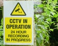 CCTV in operation, 24 hour recording in progress Sign. Royalty Free Stock Photo