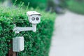 CCTV security camera in car park at garden. Royalty Free Stock Photo