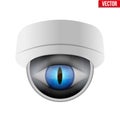CCTV security camera with reptile eye. Royalty Free Stock Photo