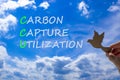 CCU Carbon capture utilization symbol. Concept words CCU Carbon capture utilization on beautiful blue sky background. Wooden bird