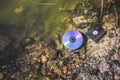 CD disk and floppy diskette are lying in the lake outdoors. Forgotten past concept in the water