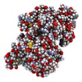 CD38 (ectodomain fragment) enzyme. Target of the monoclonal antibody drug daratumumab, used for the treatment of multiple myeloma