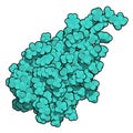 CD47 (integrin associated protein, extracellular domain) protein. Often present on cancer cells and a potential antitumoral drug Royalty Free Stock Photo