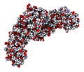 CD4 surface protein. Glycoprotein present on a number of white blood cell types, including the CD4+ helper cells. 3D illustration