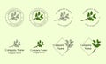 Nature cosmetics logo design collection, hand drawn leaf illustration