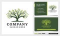 Nature tree logo design with business card template Royalty Free Stock Photo