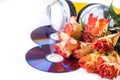 CDs, headphones and roses over white Royalty Free Stock Photo