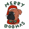 Merry Dogmas , Boxer dog wear Santa hat cartoon  illustration Royalty Free Stock Photo