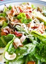 Ceasar salad Royalty Free Stock Photo