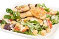 Ceasar salad on a plate Royalty Free Stock Photo
