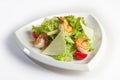 Ceasar salad on a plate Royalty Free Stock Photo
